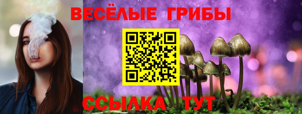 Галлюциногенные грибы Magic Shrooms Карабулак